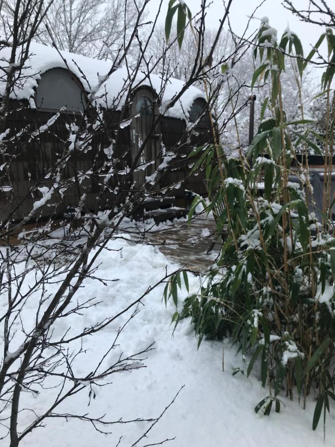 Cabane En Bois Avec Bain Nordique Et Sauna Marigny  外观 照片